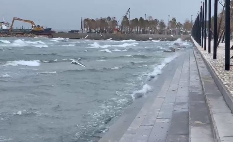 RESHJET/ Mungesë energjie dhe pezullim lundrimi, situata në Vlorë