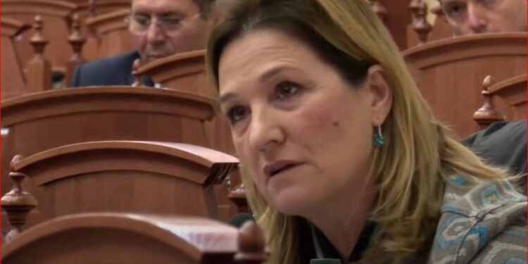“MARRËZIA…”/ Alibeaj përjashtoi dhe 4 deputetë të PD nga grupi, reagon Flutura Açka: A jeni në metro?
