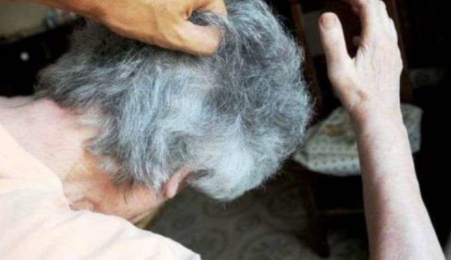 NDODH EDHE KJO/ Nusja e godet me shpullë, vjehrra e kafshon me dhëmbë: Të dyja…