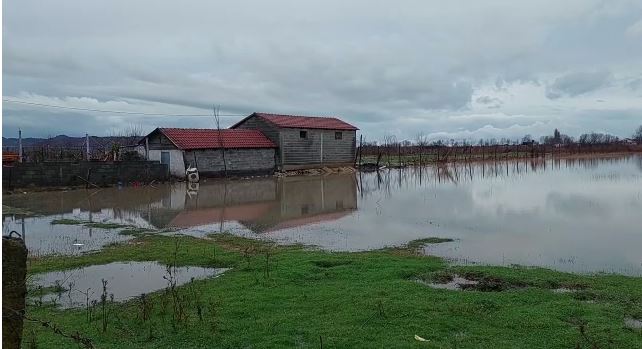 RESHJET E DENDURA TË SHIUT/ Rrethohen nga uji disa banesa në Kurbin, bora përfshin Qaf Shtamën, vështirësohet qarkullimi