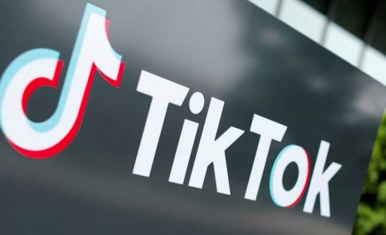 TË PAKTËN 22 SHTETE/ Rritet lista e vendeve që bllokojnë TikTok-un në SHBA
