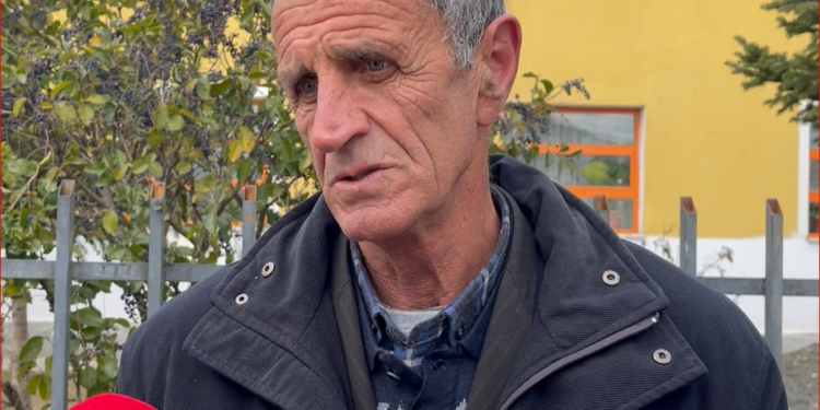DETAJET/ U godit me sëpatë nga shoku, sherri nisi për lojën me letra