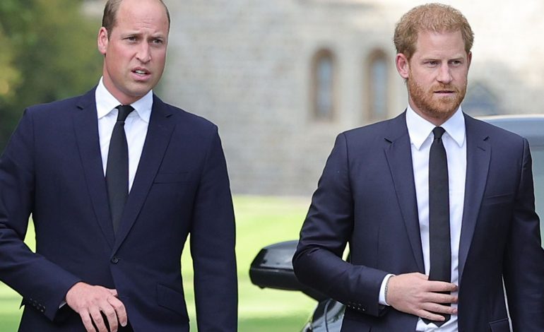 “A E KENI LEXUAR LIBRIN E VËLLAIT TUAJ?” Pyetja që “kap mat” princ William