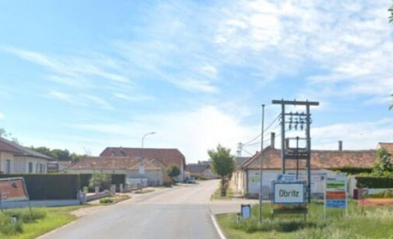 TMERR NË AUSTRI/ Prindërit mbyllin për disa muaj 6 fëmijët e mitur në një bodrum, policia…