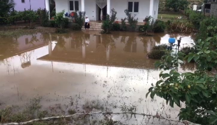 15 BANESA ME UJË NË OBORR/ Si paraqitet situata deri më tani në Shkodër