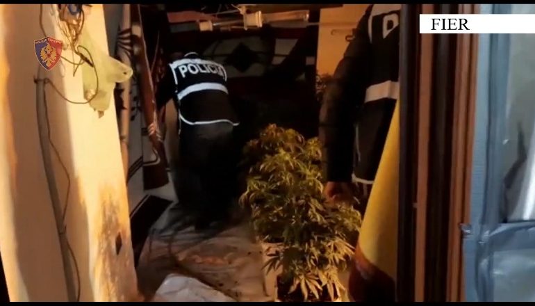 E PËSOJNË KEQ/ Përshtatën vilën 3-katëshe në ‘shtëpi bari’ në Fier, në pranga elektricist i OSHEE dhe dy të tjerë (EMRAT)