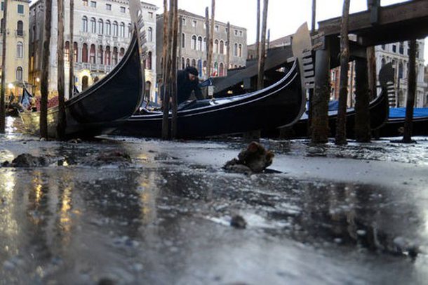 THAHEN KANALET E VENECIAS/ Qyteti turistik mes kaosit dhe baltës, ja si po ndryshon jeta e qytetarëve