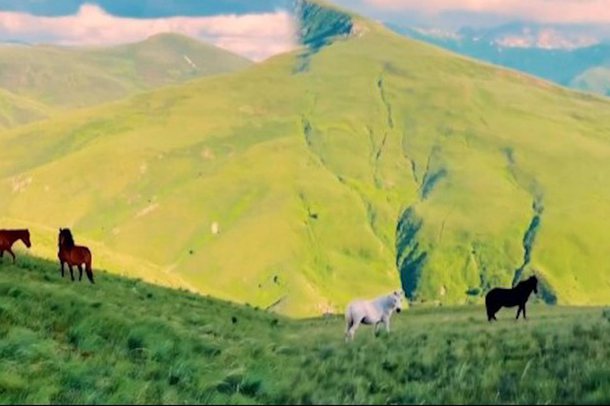 “BEAUTIFUL DESTINATIONS” REKLAMON SHQIPËRINË/ Publikon pamje të kuajve gjysmë të egër në Kukës