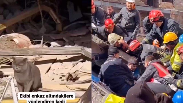 VIDEO VIRALE/ Tërmeti, MACJA shpëton nënën me dy fëmijë në rrënoja