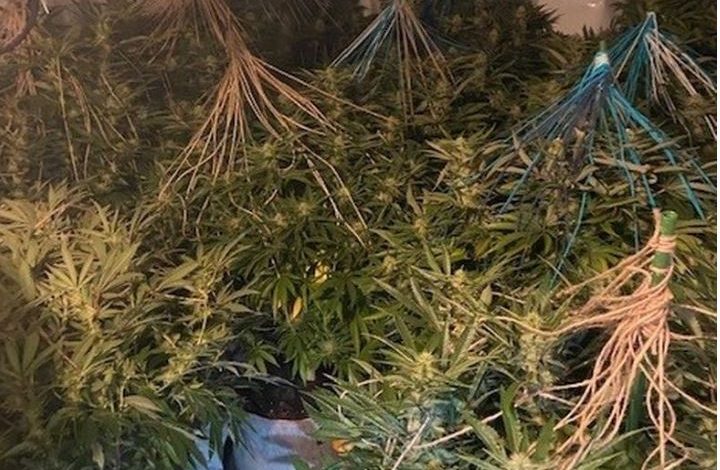 EMRAT/ Zbulohet ‘shtëpia e barit’ në Angli, në pranga dy shqiptarë, dëshmia e 28-vjeçarit: Më kërcënohej familja nëse…