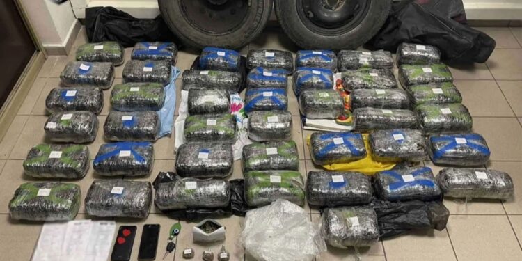 TRAFIK DROGE SHQIPËRI-GREQI/ Pranga 49-vjeçarit grek, sekuestrohen mbi 43 kg marijuanë