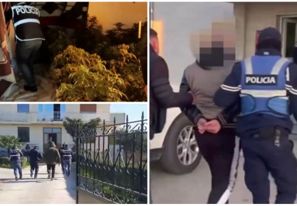 VILA E KTHYER NË “SHTËPI BARI” / 5 dhoma të përshtatura për kultivim droge! Kush është pronari me dy emra që u vendos në pranga