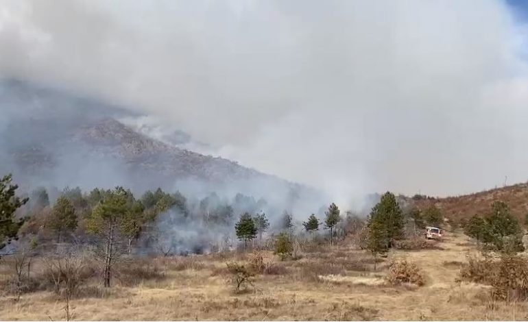 DETAJET E PARA/ Qindra hektarë pyje e kullota përfshihen nga zjarri në Klos