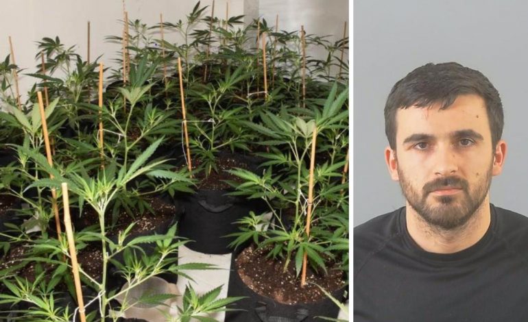 EMRI/ Ishte deportuar edhe më parë, shqiptari kapet sërish me drogë në Angli! Hipën në çati për t’i shpëtuar policisë…