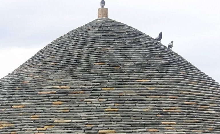 SOT SULLTAN NEVRUZI/ Rama: Uroj që pranvera të çelë në zemrat tuaja si vetë kuptimi i kësaj dite