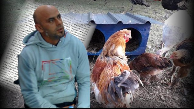 DOSJA/ Si u kap Dan Hutra në kotec duke vjedhur pula në Durrës pasi doli nga burgu për vrasjen e ish gruas