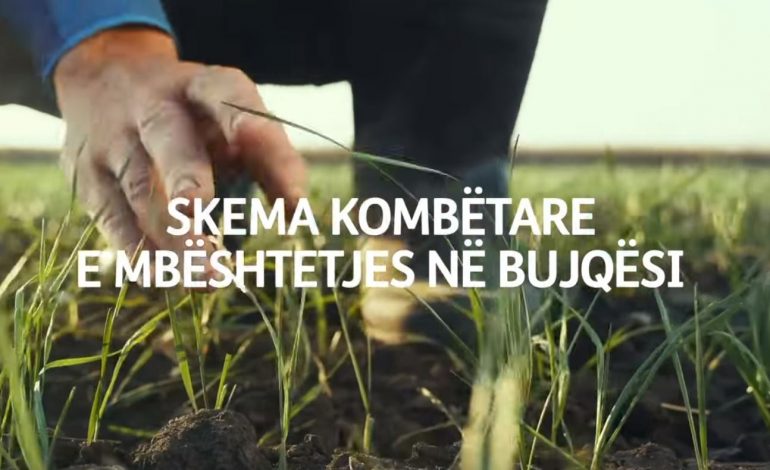 SKEMA KOMBËTARE E MBËSHTETJES/ Rama e nis javën duke ftuar fermerët të aplikojnë