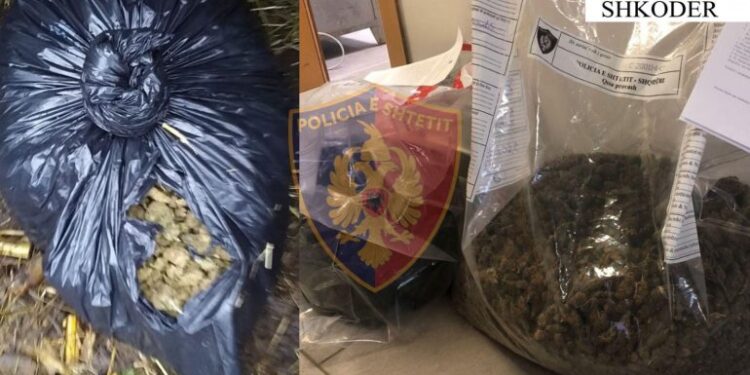 EMRAT / Shtatë të arrestuar në Shkodër për 5.6 kilogram kanabis, policia jep DETAJET