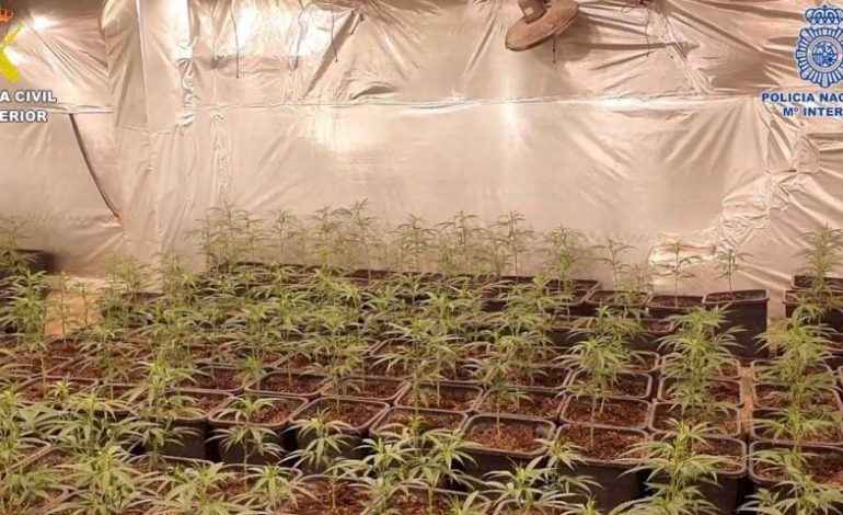 GODITET TRAFIKU I DROGËS NË SPANJË/ 16 të arrestuar, mes tyre edhe shqiptarë