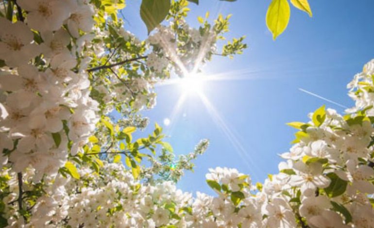 TEMPERATURA DERI NË 26 GRADË/ Parashikimi i motit për ditën e sotme