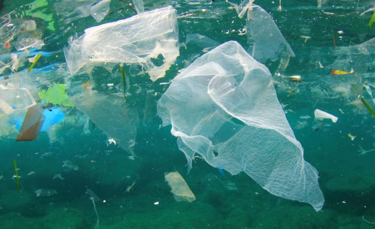 ALARMI PËR OQEANET/ G7-a zotohet për dhënie fund të ndotjes plastike deri më 2040