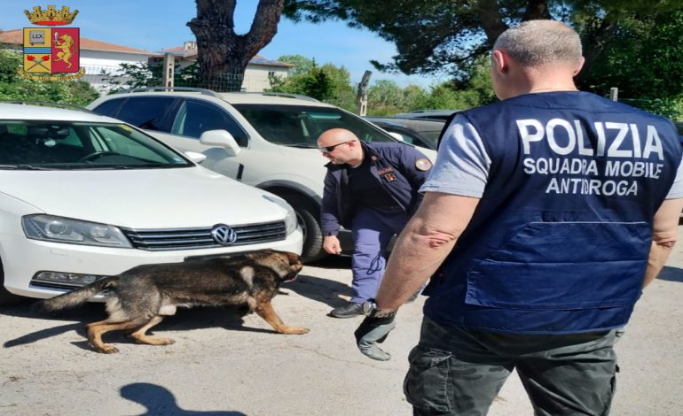 E PËSON KEQ/ Kapet “kapoja” shqiptar i drogës në Itali, sekuestrohen kokainë dhe kanabis