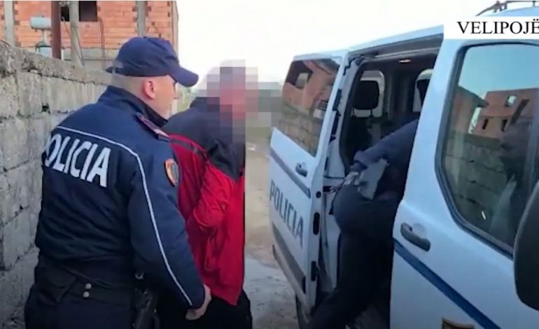 SEKUESTRIMI I PARCELËS ME KANABIS NË VELIPOJË/ Arrestohet i riu i shpallur në kërkim