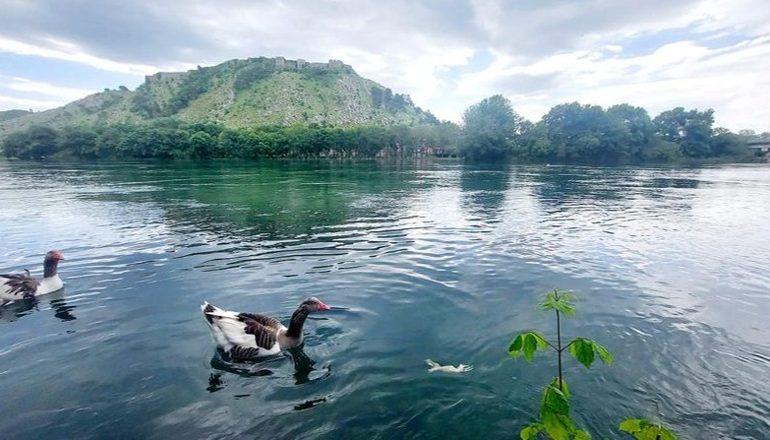 FOTOLAJM/ Rama ndan ‘kartolinën’ nga Buna në Shkodër