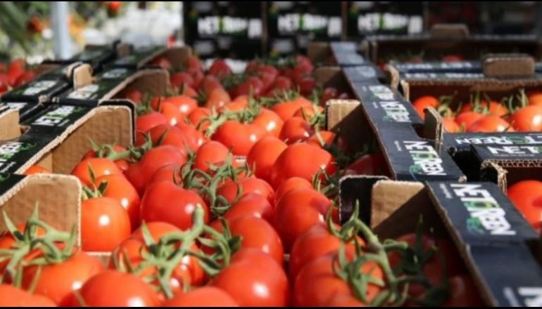 BE KTHEN MBRAPSHT DOMATET SHQIPTARE? Reagon AKU: E pavërtetë! Eksportet kanë vijuar pa ndalim, produktet…