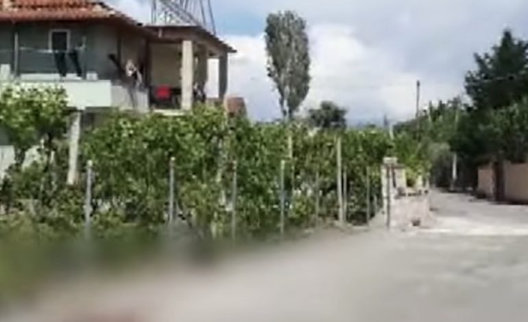 “E VRAVA SE S’ME BERI DREKËN”/ Dëshmia tronditëse e 58-vjeçarit, ekzekutoi me sëpatë kunatën