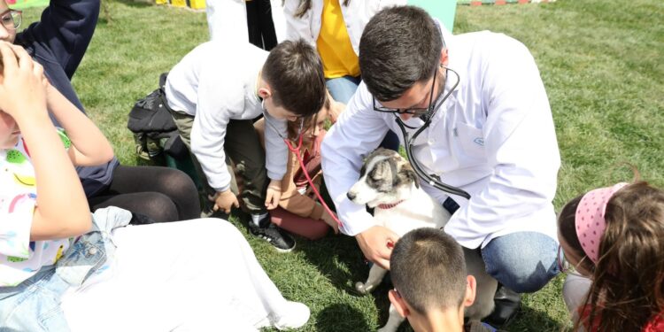 HAPET STREHA E RE VETERINARE PËR KAFSHËT NË RRUGË/ Veliaj: Qendra ofron kujdes mjekësor dhe vaksinim