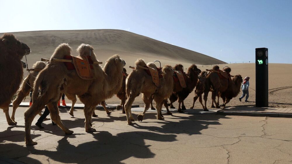 EDMOND LAÇI/ Kinë, semafor për devetë në shkretëtirë