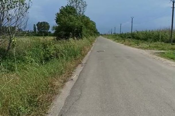 TRAGJIKE NË KURBIN/ Makina përplas për vdekje 35-vjeçarin dhe “zhduket”, kush është viktima (EMRI)