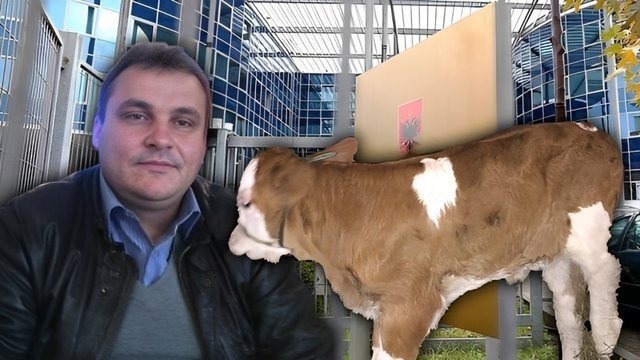 “S’JA NDJEN SHUMË K*** ATIJ O LALE”/ Zbardhen përgjimet për dy inspektorët që u hetuan për korrupsionin me një viç të therur