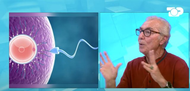HABIT gjinekologu: Meshkujt që pinë alkool krijojnë hormone femërore me shumicë