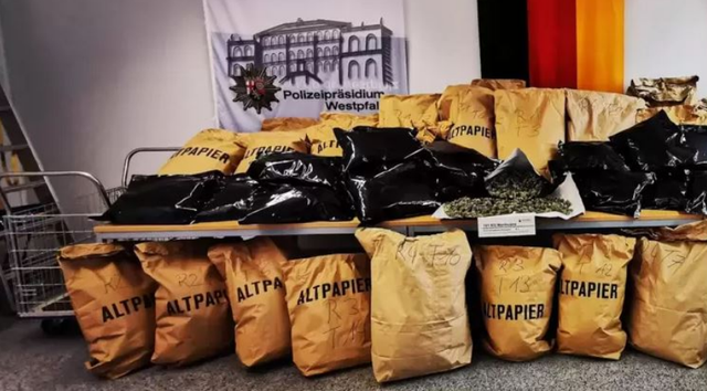 DETAJET/ Çmontohet plantacioni i drogës në Gjermani, arrestohen 4 shqiptarë