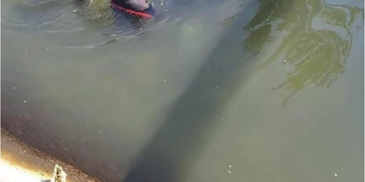 TRAGJIKE/ Ra në kanal teksa po kulloste lopën, nxirret trupi i pajetë i 4-vjeçarit