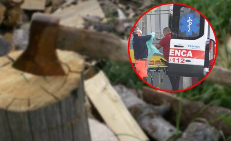 KRIMI NË FAMILJE/ Zbardhet dëshmia e autorit që masakroi kunatën me sëpatë në Elbasan: E vrava se më ofendonte