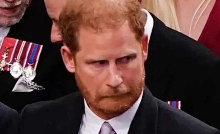KURORËZIMI I MBRETIT CHARLES III/ Fytyra e Princit Harry bëhet meme