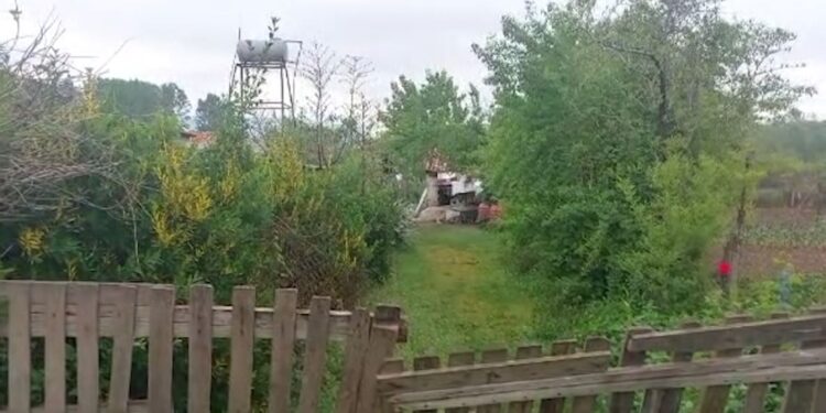 GODITI GRUAN ME SËPATË NË KOKË/ Çfarë deklaroi 70-vjeçari në polici