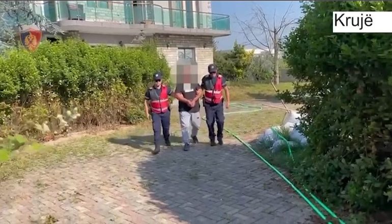 SEKUESTROHEN 208 FARA KANABISI NË KRUJË/ Kishte përshtatur tre ambiente për kultivim të lëndëve narkotike, në pranga 55-vjeçari