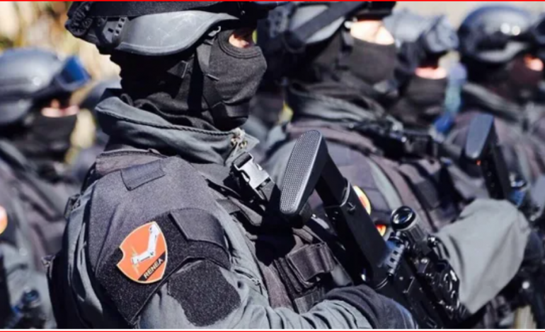 ÇFARË PO NDODH? FNSH dhe Policia rrethojnë Fushë-Krujën, operacion për të…