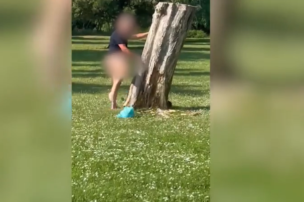 PAMJET + 18/ Tmerrohen qytetarët, burri zhvishet lakuriq në park dhe kryen seks me pemën