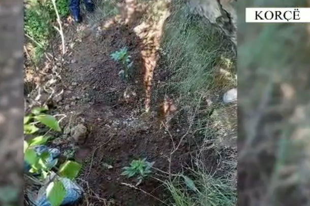 “SHTËPI BARI” DHE ARMË NË KORÇË/ Arrestohen 3 persona (EMRAT)