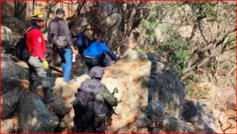 HORROR NË MEKSIKË/ Zbulohen 45 thasë me mbetje trupash njerëzish