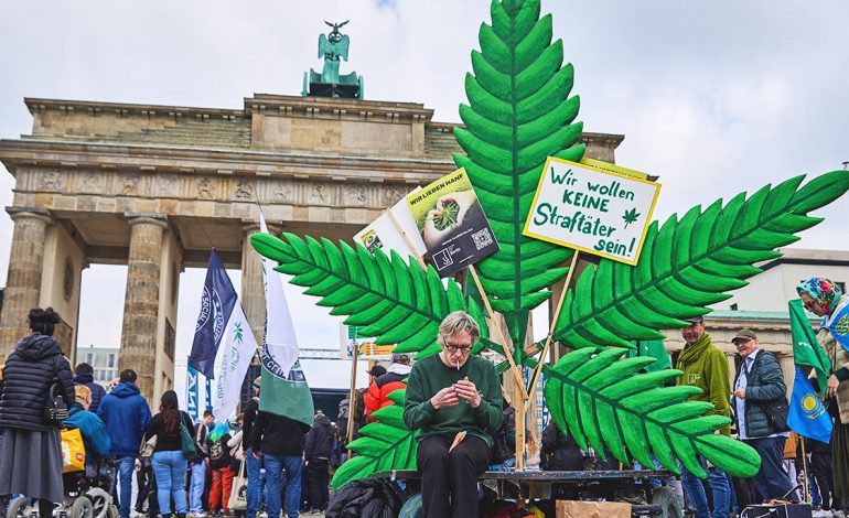 NGEC LEGALIZIMI I KANABISIT NË EUROPË/ Gjermania e nervozuar planifikon fazën e dytë të projektit