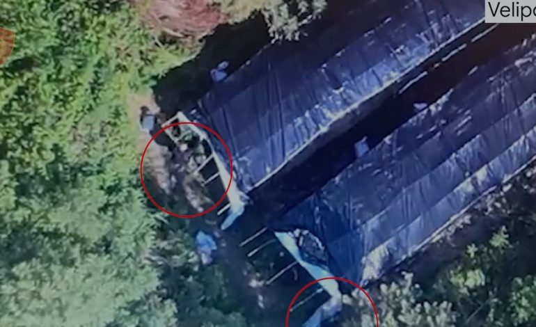 DETAJET E PARA/ Shkatërrohen 7 minisera me drogë, arrestohen dy të rinj në Shkodër (EMRAT)