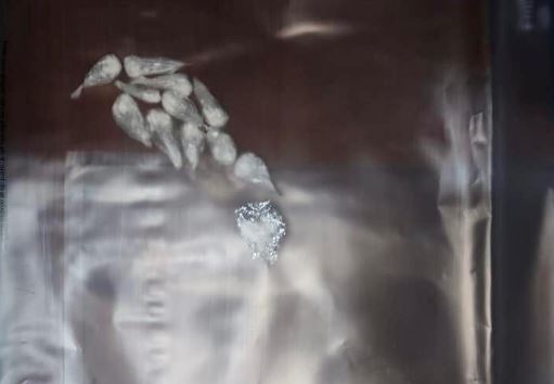 ME 13 DOZA KOKAINE NË AUTOMJET/ Arrestohet zjarrfikësi 22-vjeçar në Roskovec