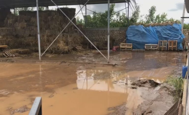 DALJA E PËRRENJVE NË ZEMBLAK TË KORÇËS/ Bëhet bilanci i dëmeve, 5 banesa të prekura, rruga…