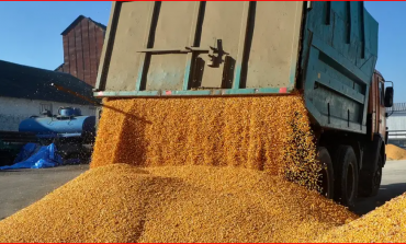 ANALIZA/ Çfarë pasojash priten nëse dështon marrëveshja për eksportin e grurit ukrainas